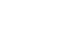 Ivo Adam